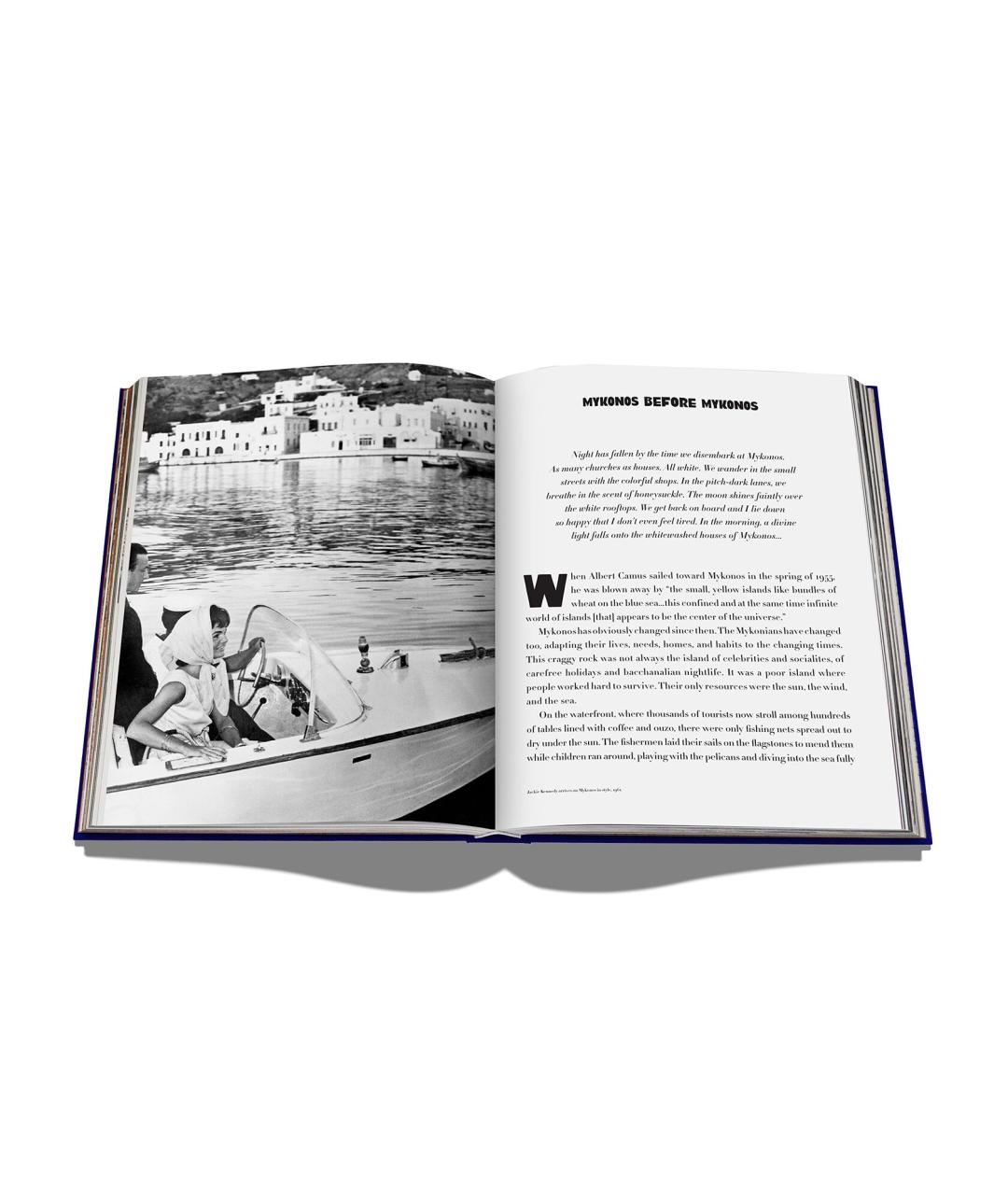 ASSOULINE Голубая книга, фото 3