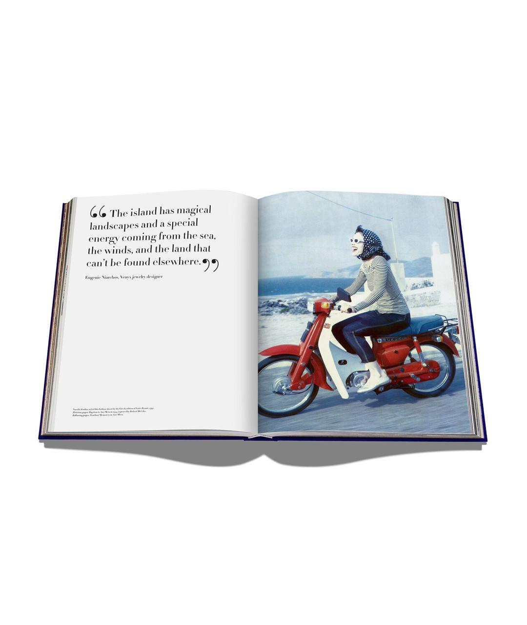 ASSOULINE Голубая книга, фото 7