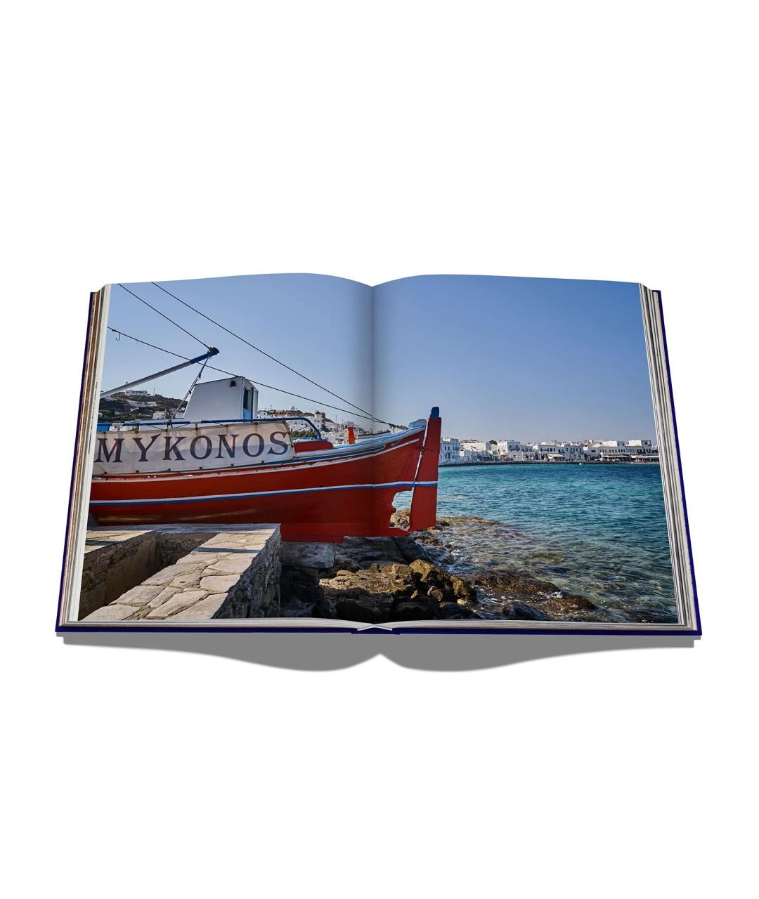 ASSOULINE Голубая книга, фото 9