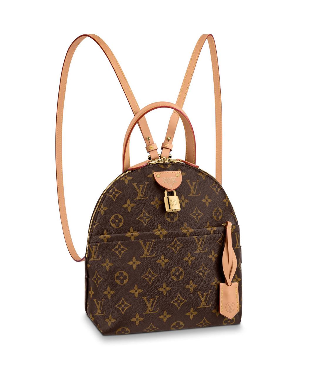 LOUIS VUITTON Коричневый канва рюкзак, фото 1