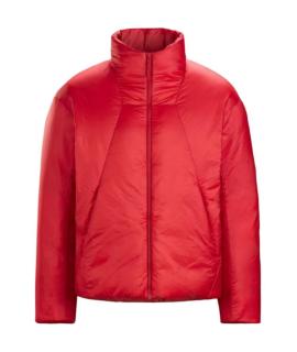 ARCTERYX Пуховик