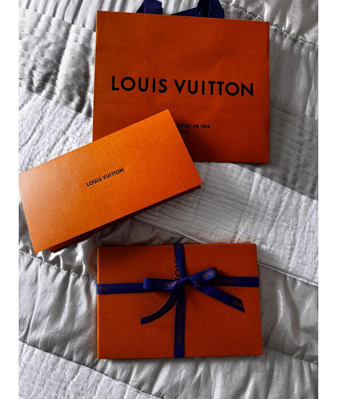 LOUIS VUITTON Синяя книга, фото 7