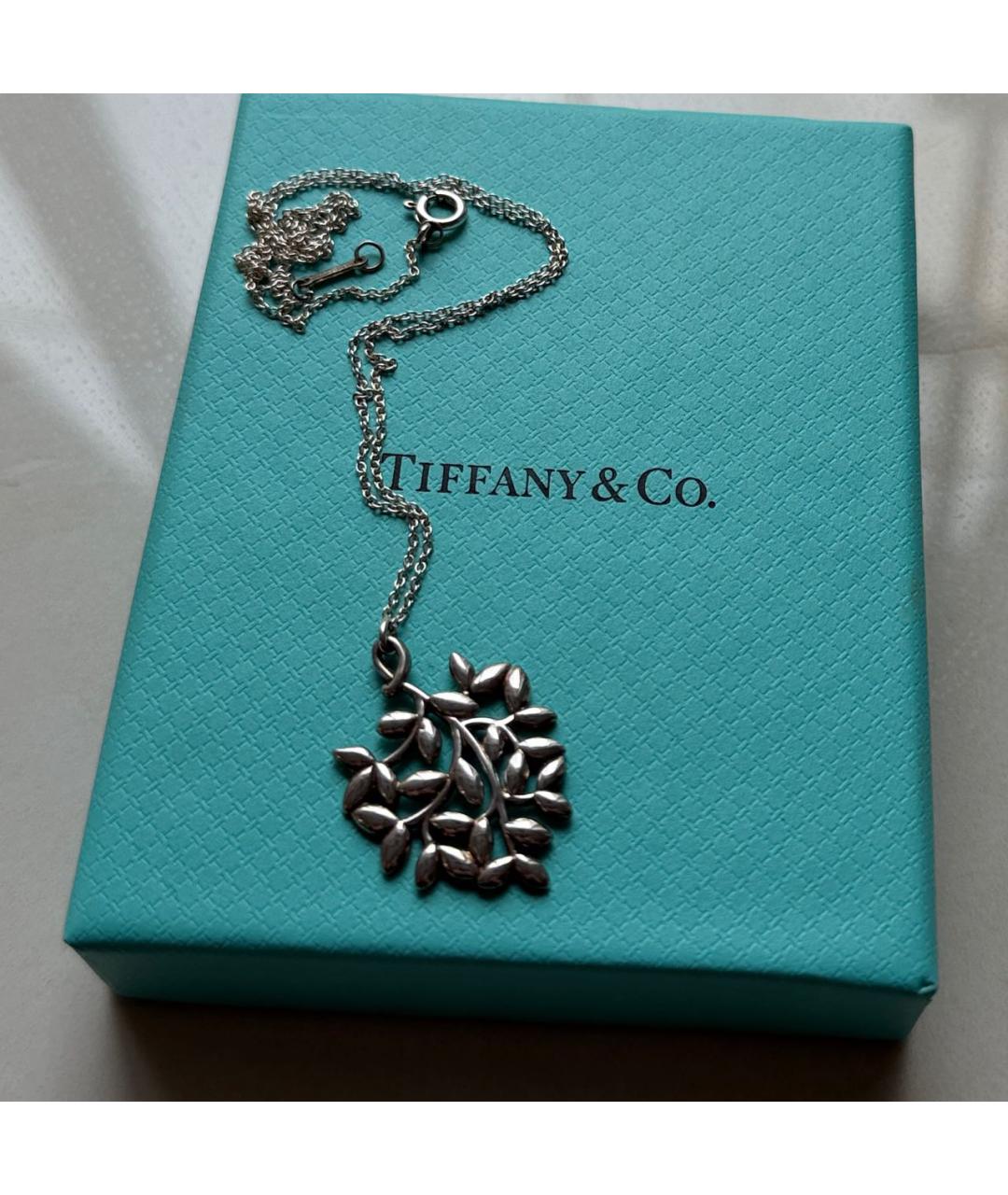 TIFFANY&CO Серебряное серебряное колье, фото 2
