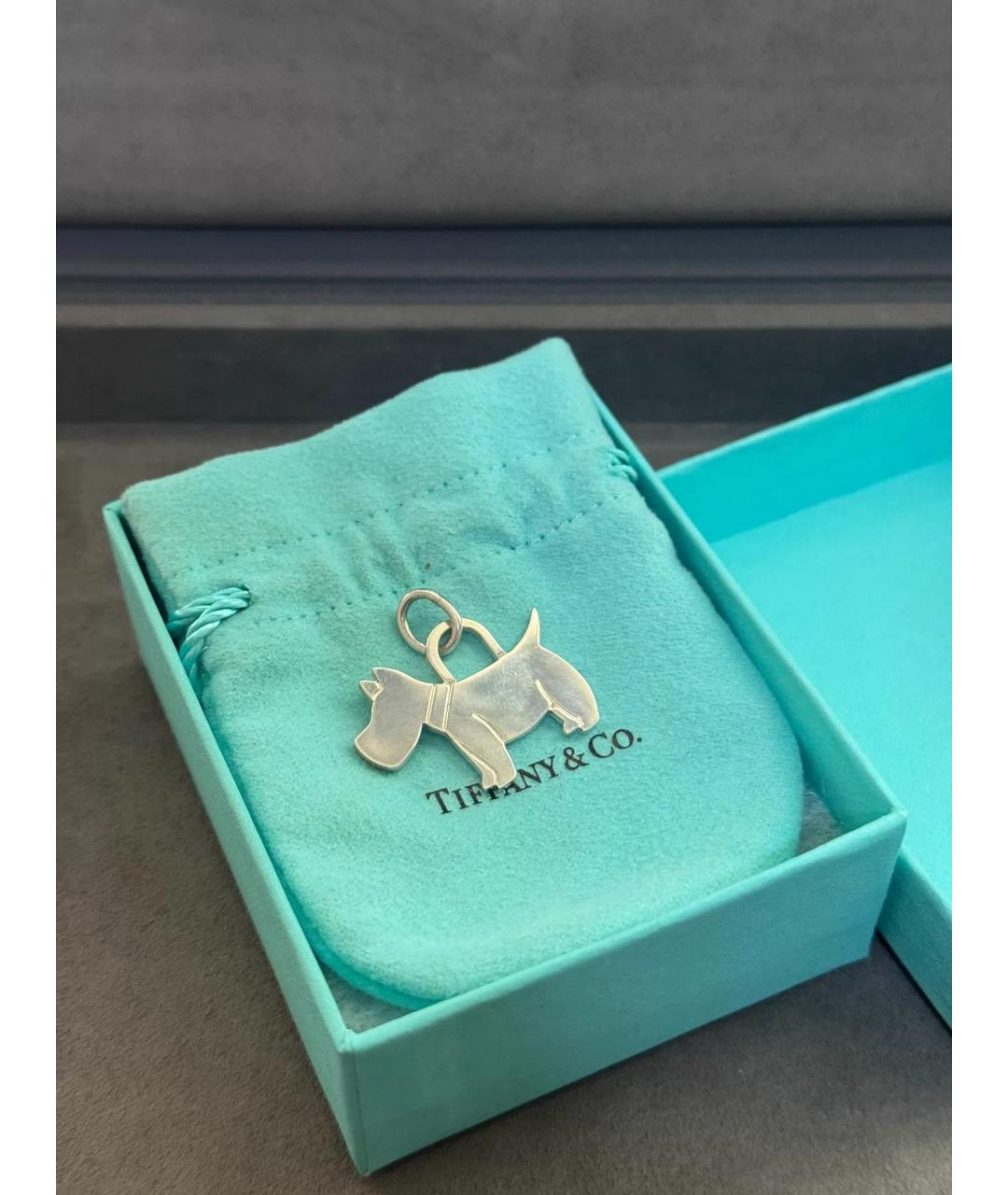 TIFFANY&CO Серебряная серебряная подвеска, фото 5