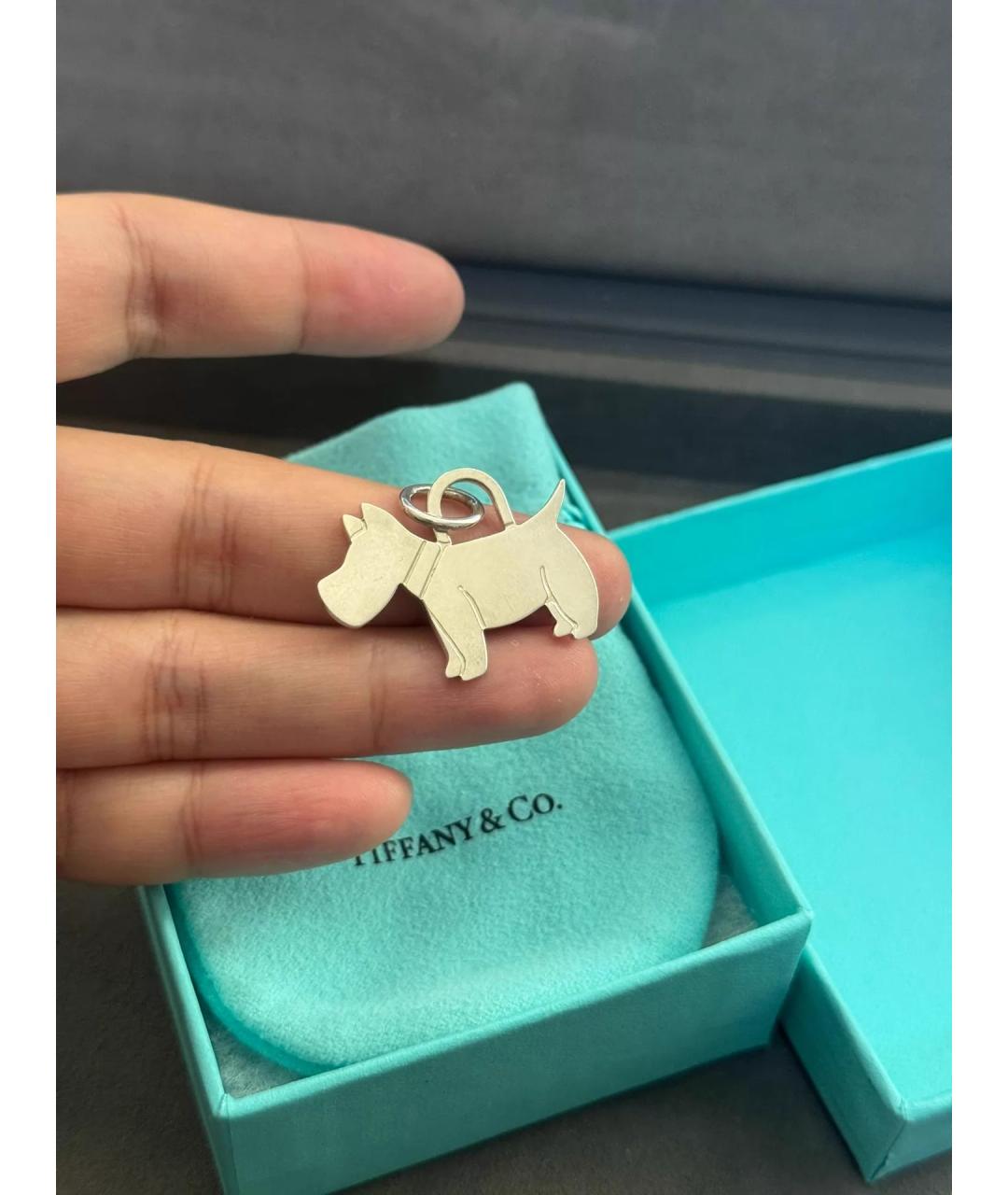 TIFFANY&CO Серебряная серебряная подвеска, фото 3