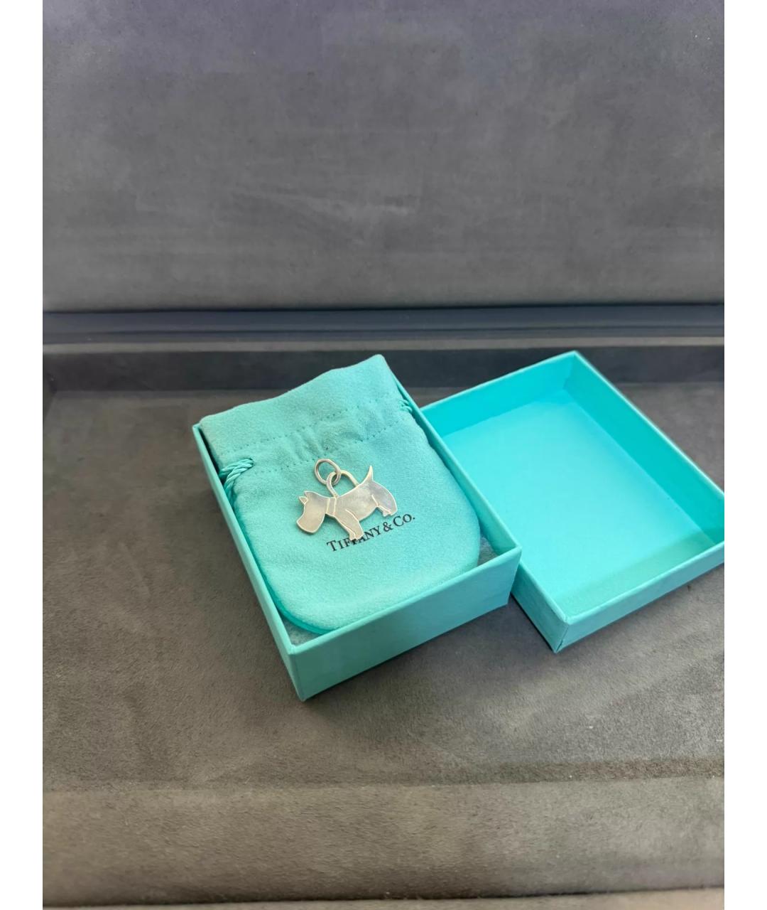 TIFFANY&CO Серебряная серебряная подвеска, фото 2