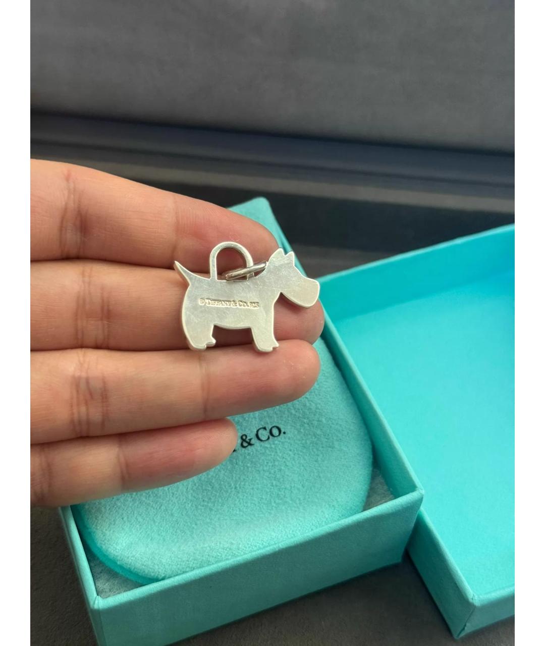 TIFFANY&CO Серебряная серебряная подвеска, фото 4
