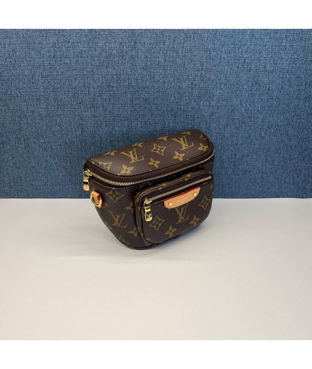 LOUIS VUITTON Коричневая кожаная поясная сумка, фото 2