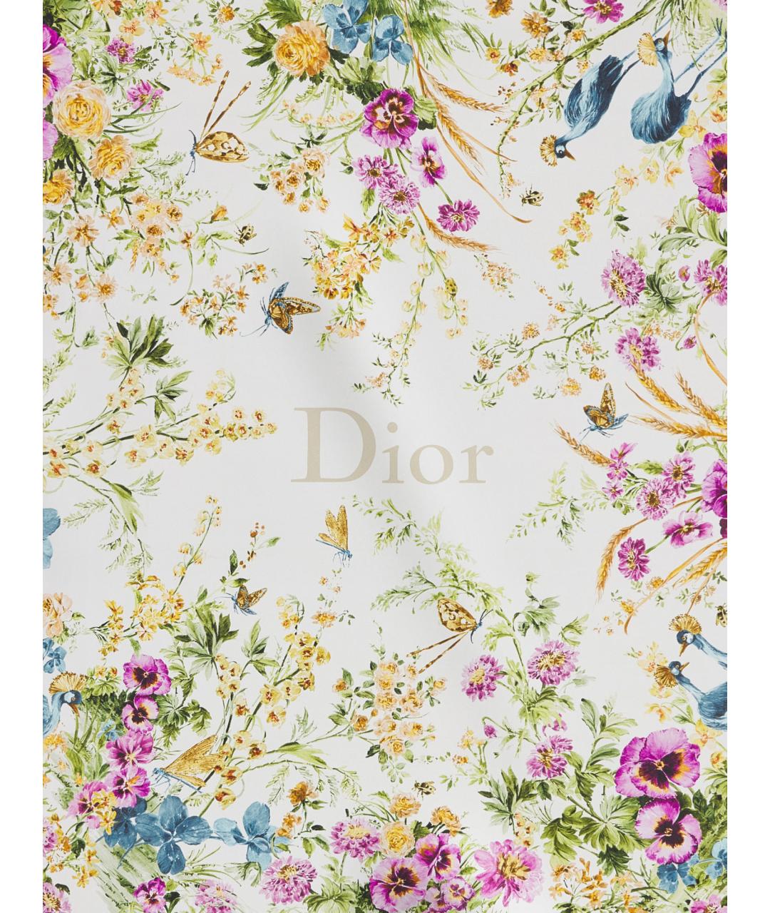 CHRISTIAN DIOR Бежевый шелковый шарф, фото 2