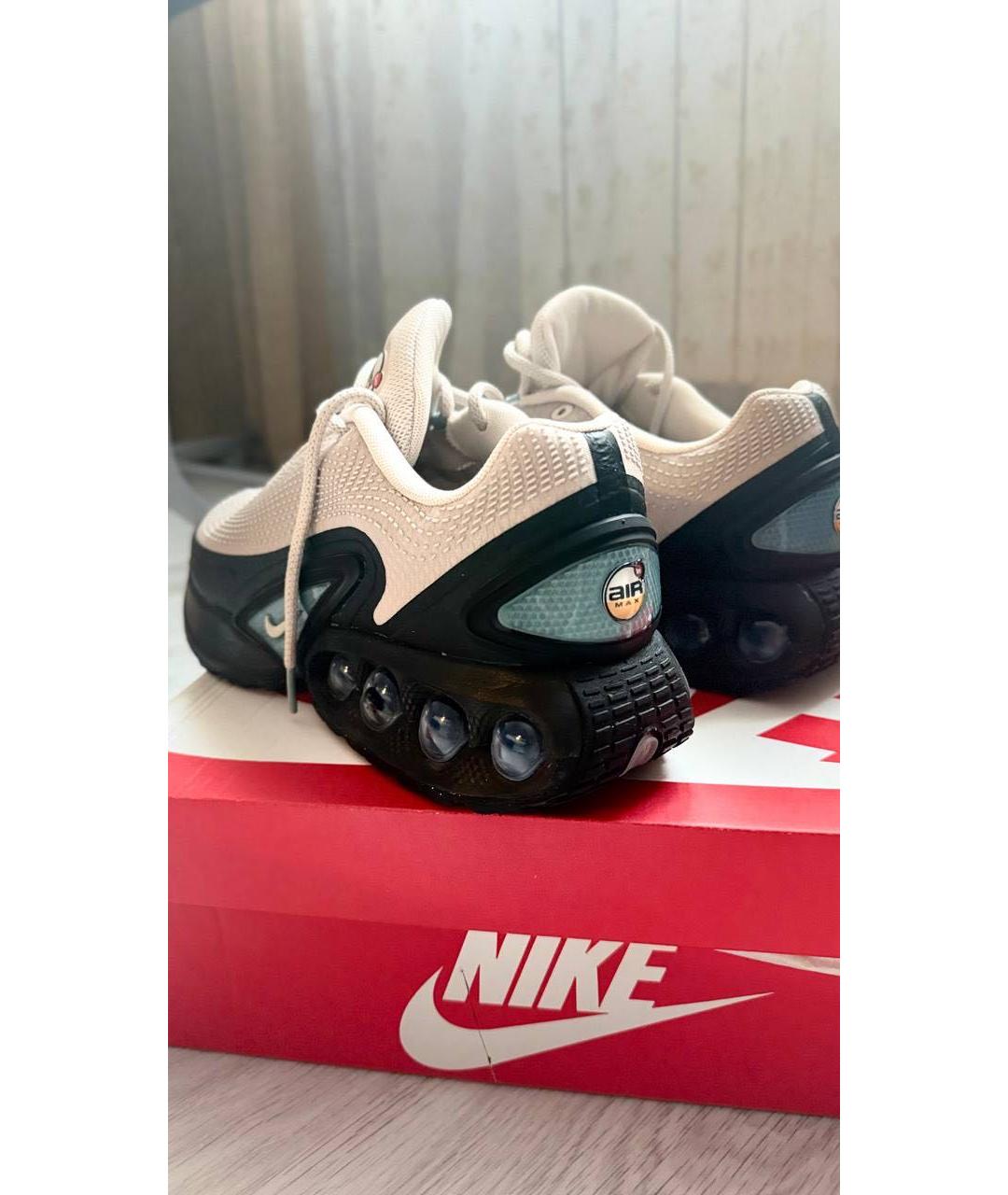 NIKE Серые низкие кроссовки / кеды, фото 3