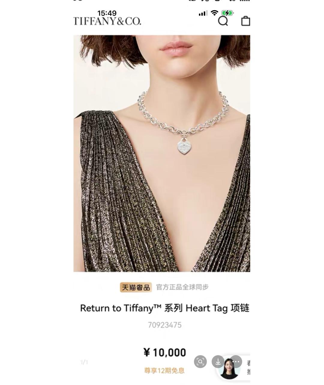 TIFFANY&CO Серебряное серебряное колье, фото 8