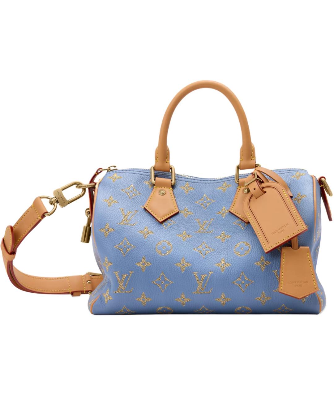 LOUIS VUITTON Синяя кожаная сумка на плечо, фото 1