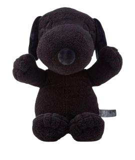 KAWS Другое
