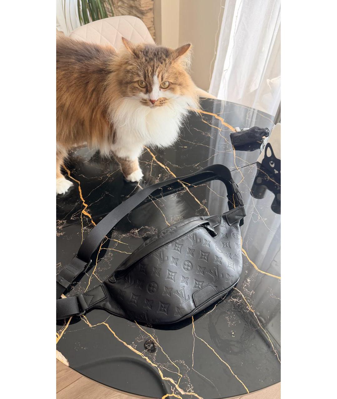 LOUIS VUITTON Черная кожаная поясная сумка, фото 5