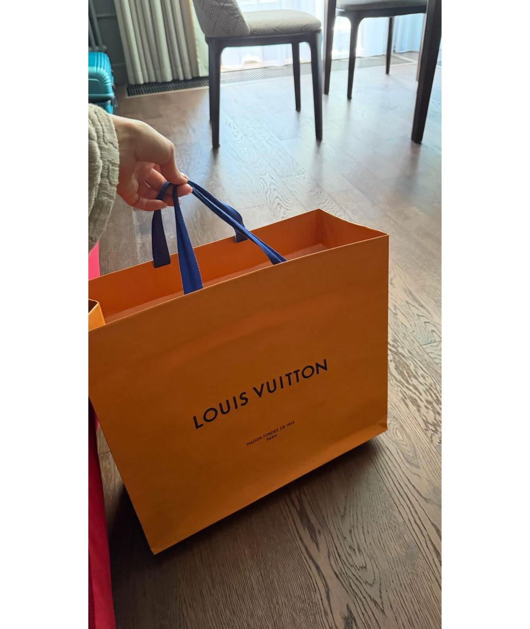 LOUIS VUITTON Бежевая канва сумка с короткими ручками, фото 6