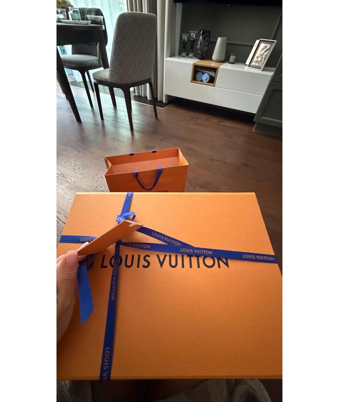 LOUIS VUITTON Бежевая канва сумка с короткими ручками, фото 5