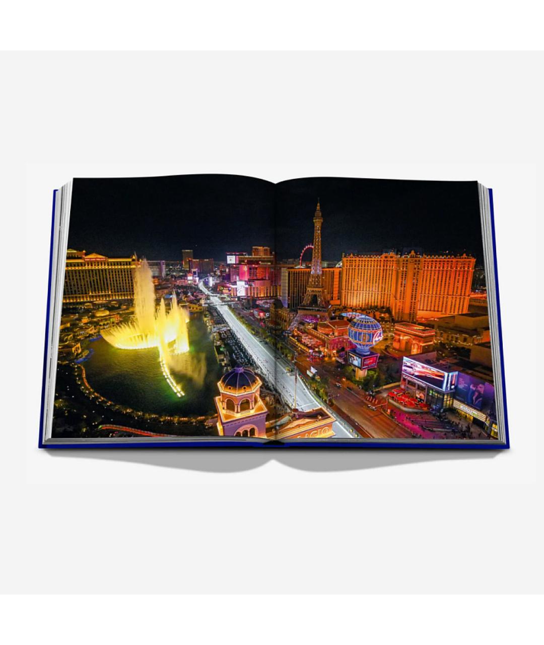 ASSOULINE Синяя книга, фото 3