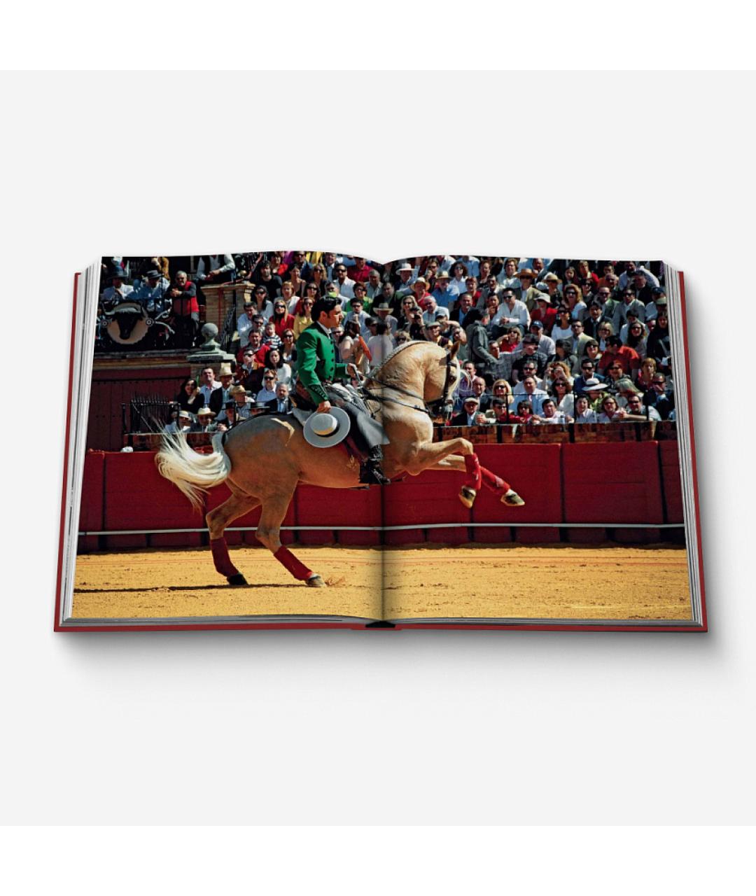 ASSOULINE Красная книга, фото 3