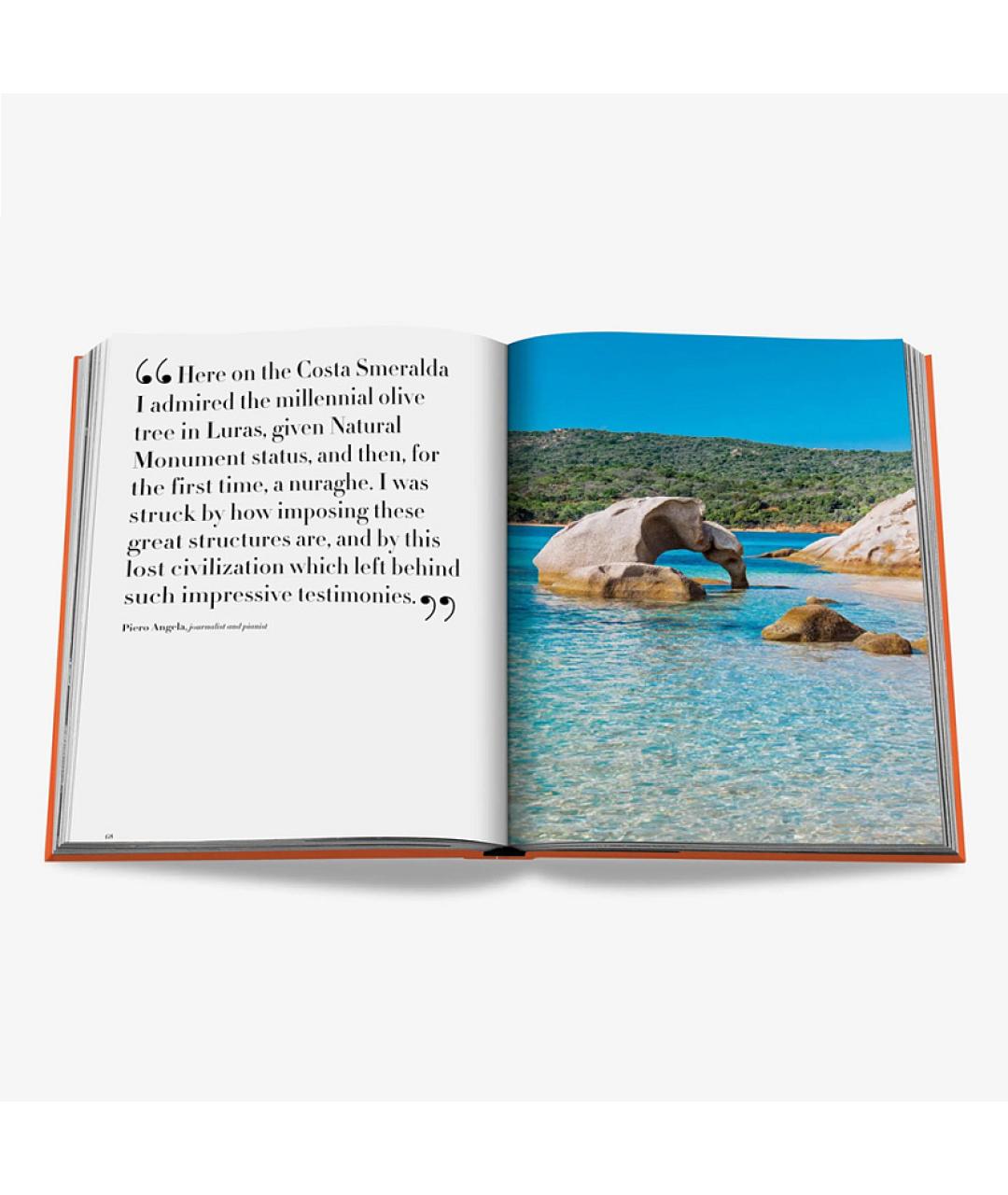 ASSOULINE Оранжевая книга, фото 6
