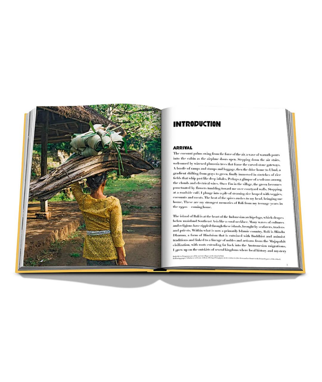 ASSOULINE Желтая книга, фото 9