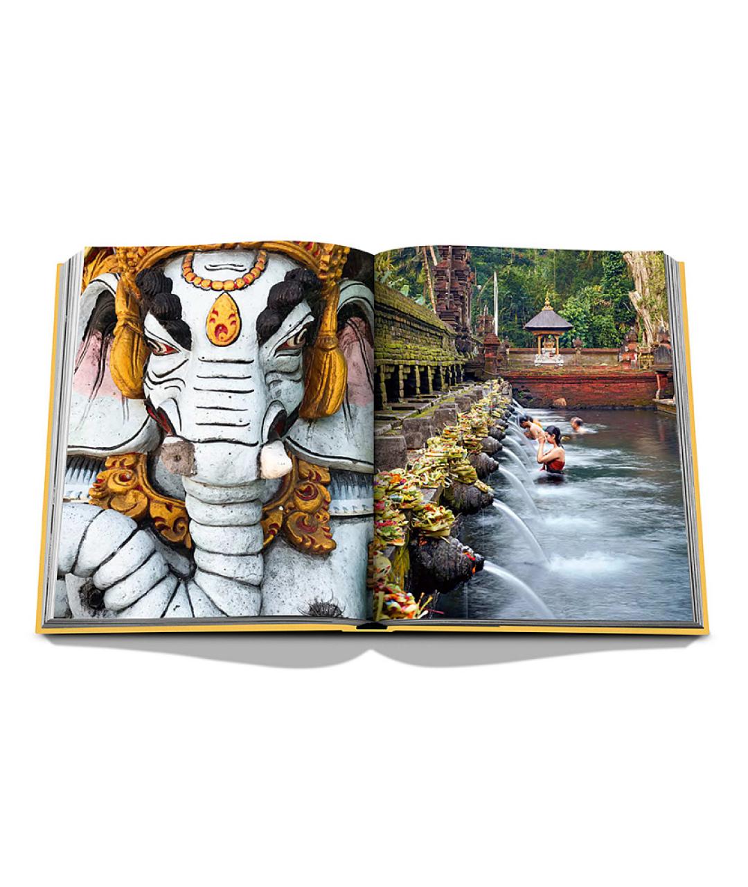 ASSOULINE Желтая книга, фото 4