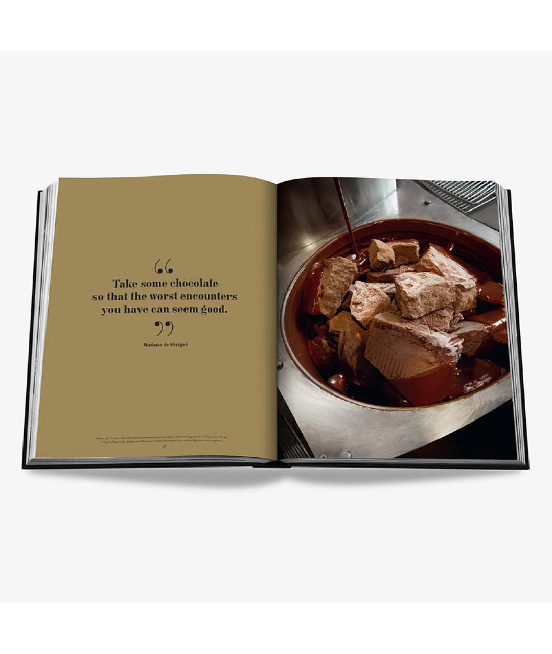 ASSOULINE Коричневая книга, фото 7