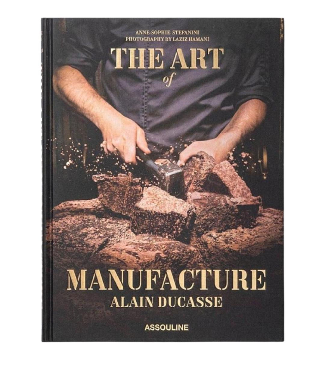 ASSOULINE Коричневая книга, фото 1