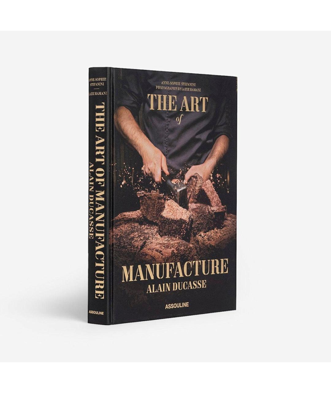 ASSOULINE Коричневая книга, фото 2