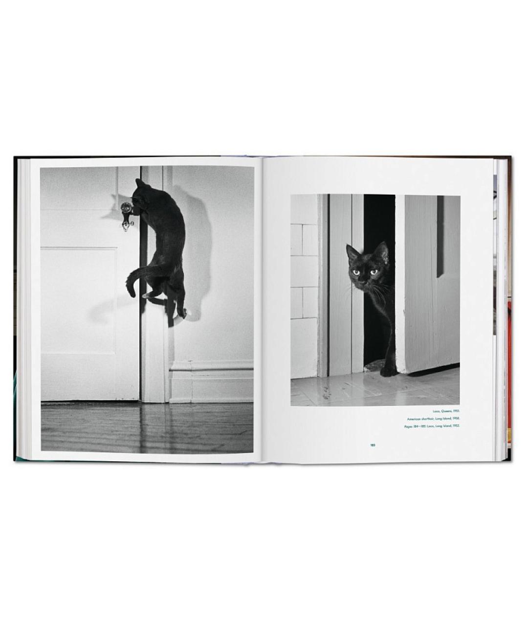 TASCHEN Книга, фото 7