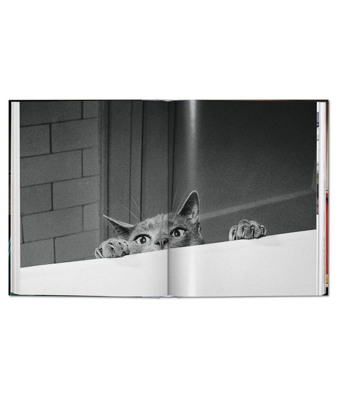 TASCHEN Книга, фото 8