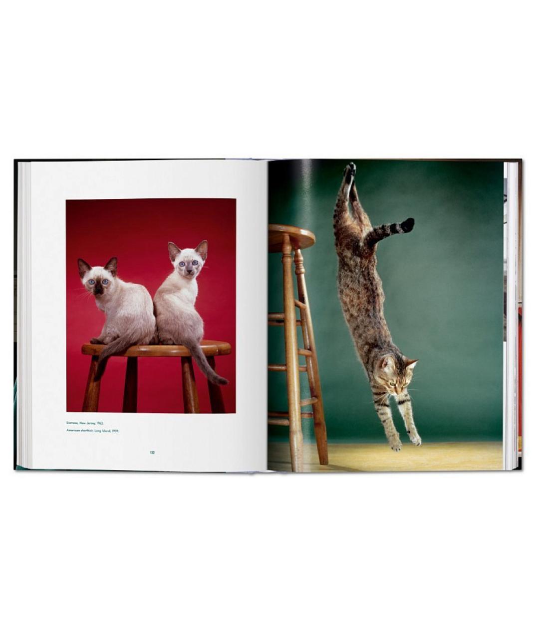 TASCHEN Книга, фото 6