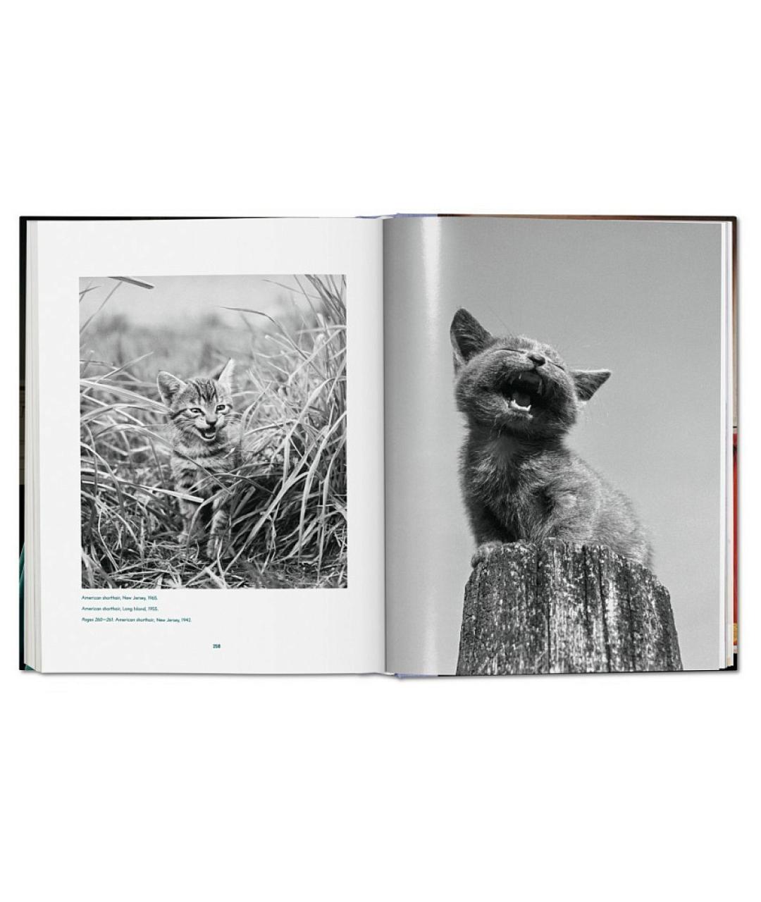 TASCHEN Книга, фото 4