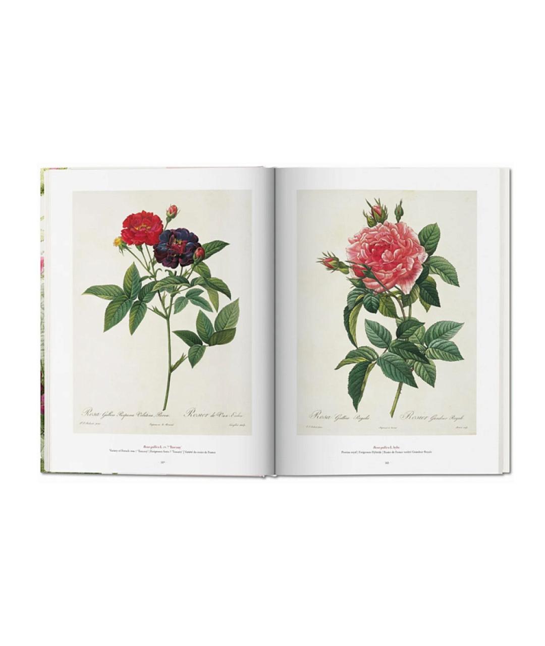 TASCHEN Мульти книга, фото 5