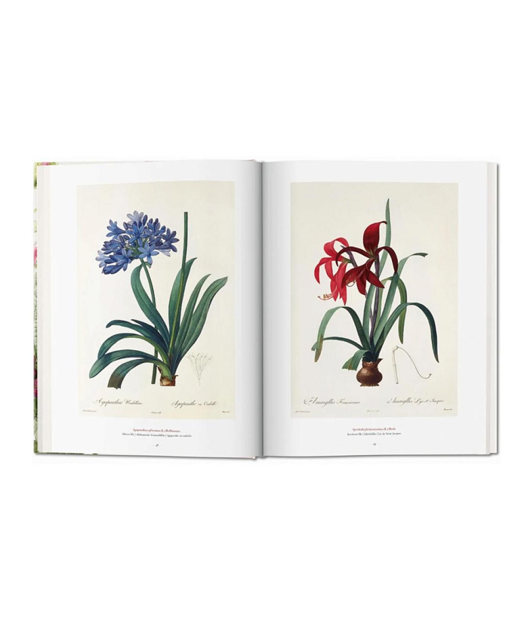 TASCHEN Мульти книга, фото 3