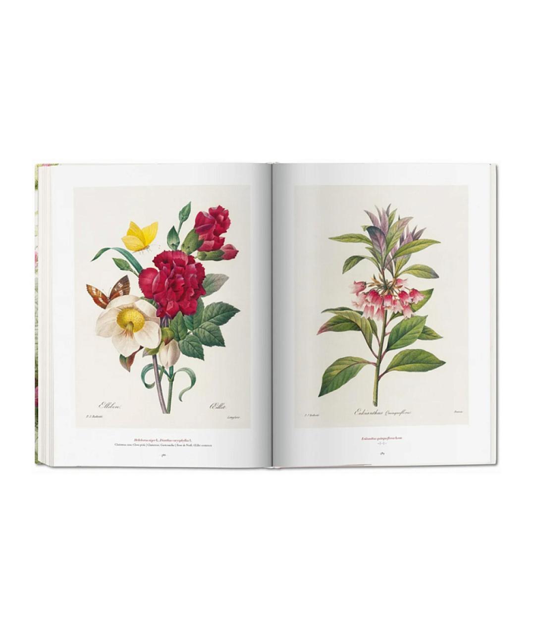 TASCHEN Мульти книга, фото 7