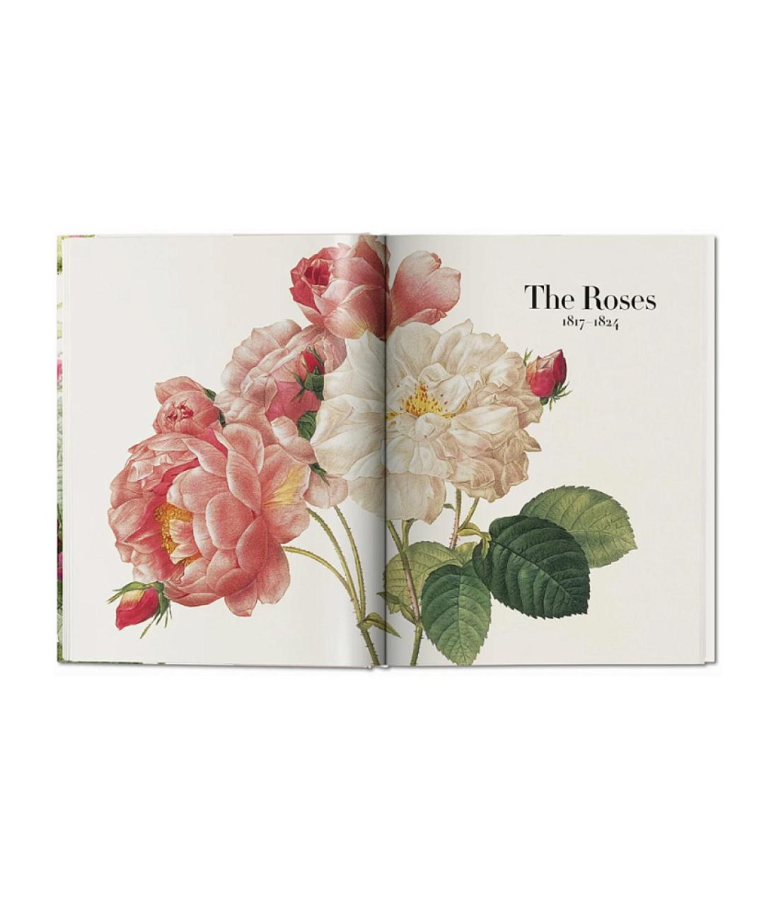 TASCHEN Мульти книга, фото 4