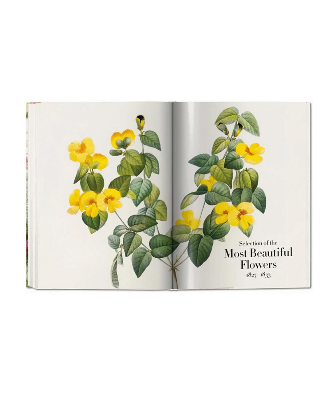 TASCHEN Мульти книга, фото 6