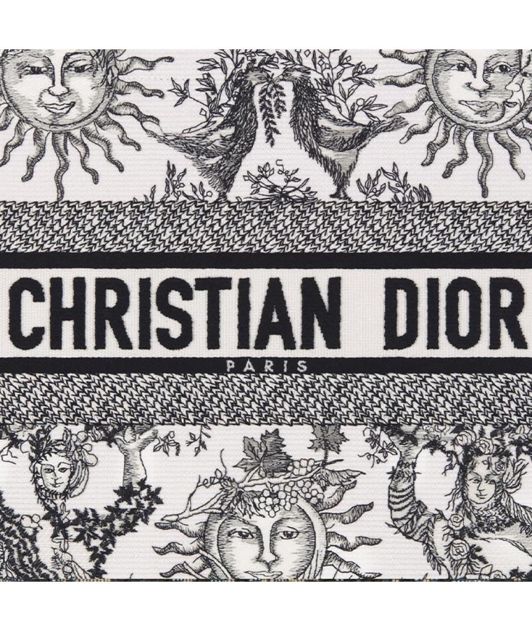 CHRISTIAN DIOR Белая канва сумка через плечо, фото 5