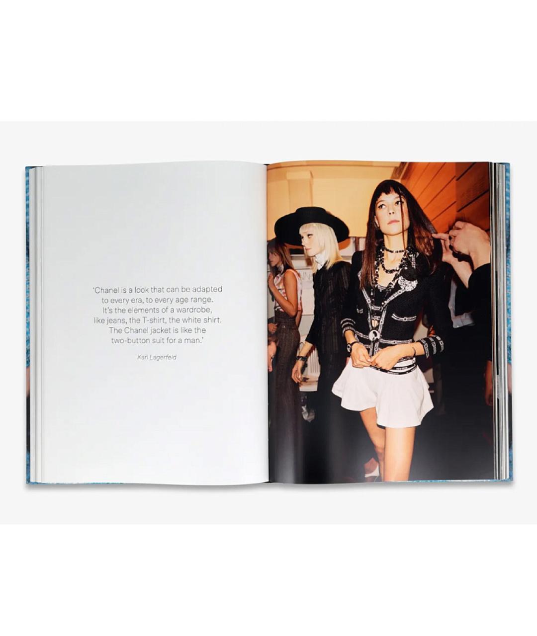 THAMES & HUDSON Голубая книга, фото 4