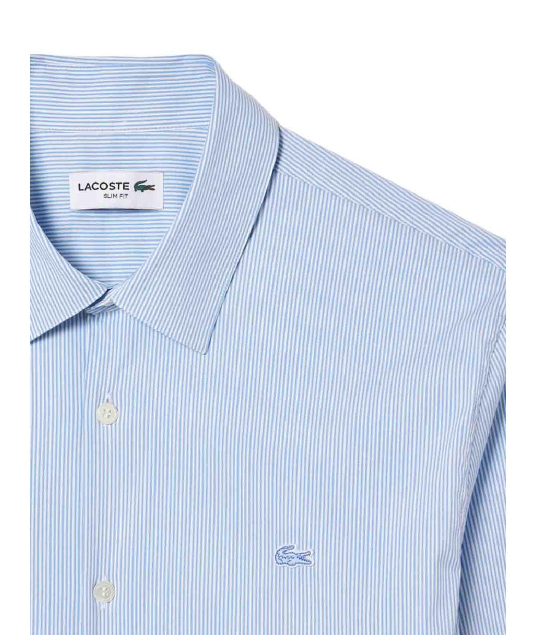 LACOSTE Голубая хлопковая классическая рубашка, фото 2