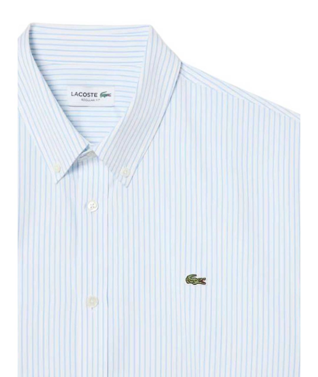 LACOSTE Голубая хлопковая классическая рубашка, фото 2