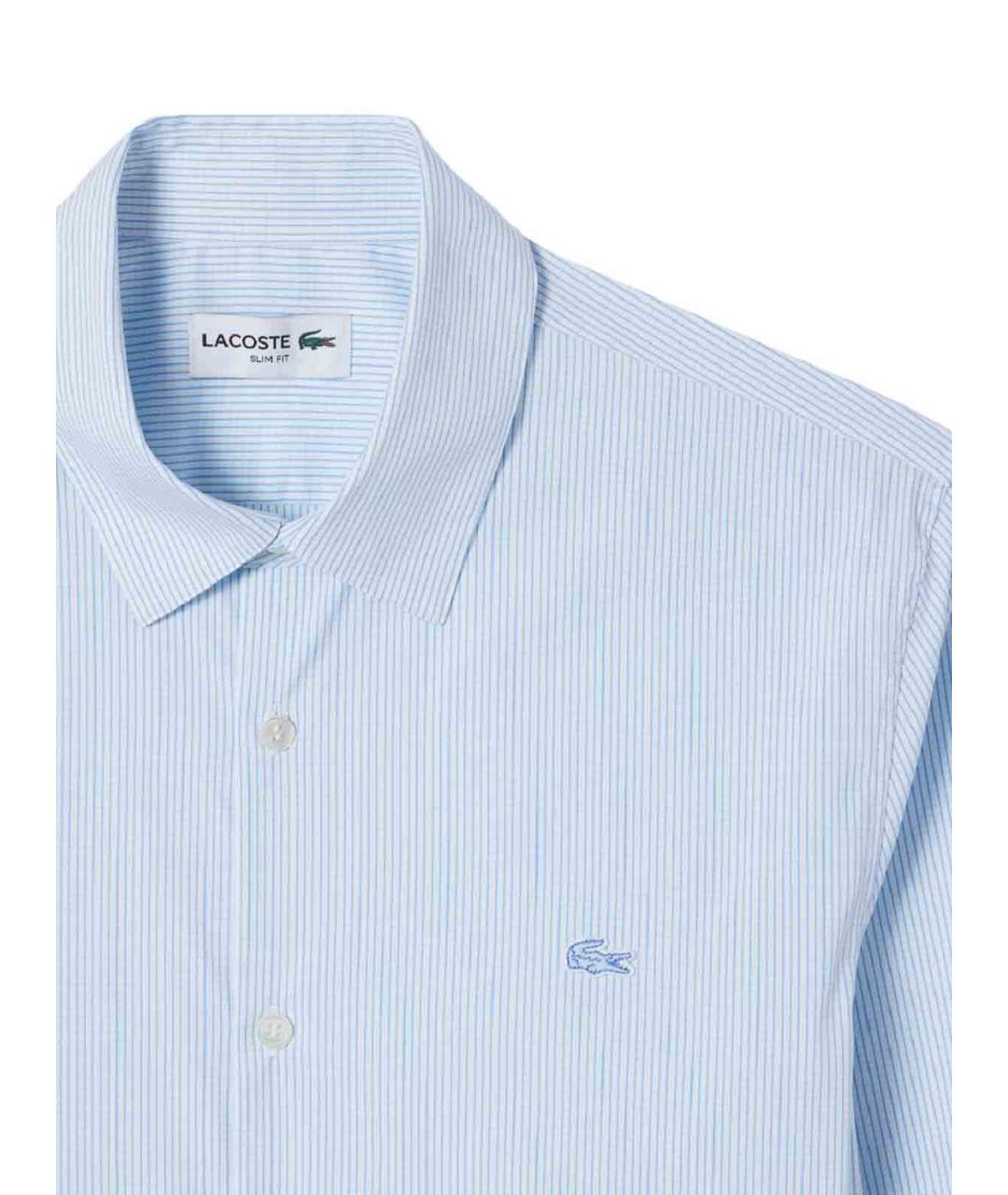 LACOSTE Голубая хлопковая классическая рубашка, фото 2