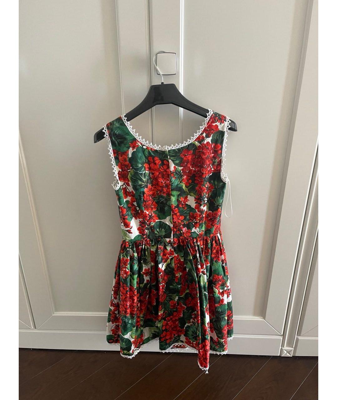 DOLCE&GABBANA Красное хлопковое повседневное платье, фото 2