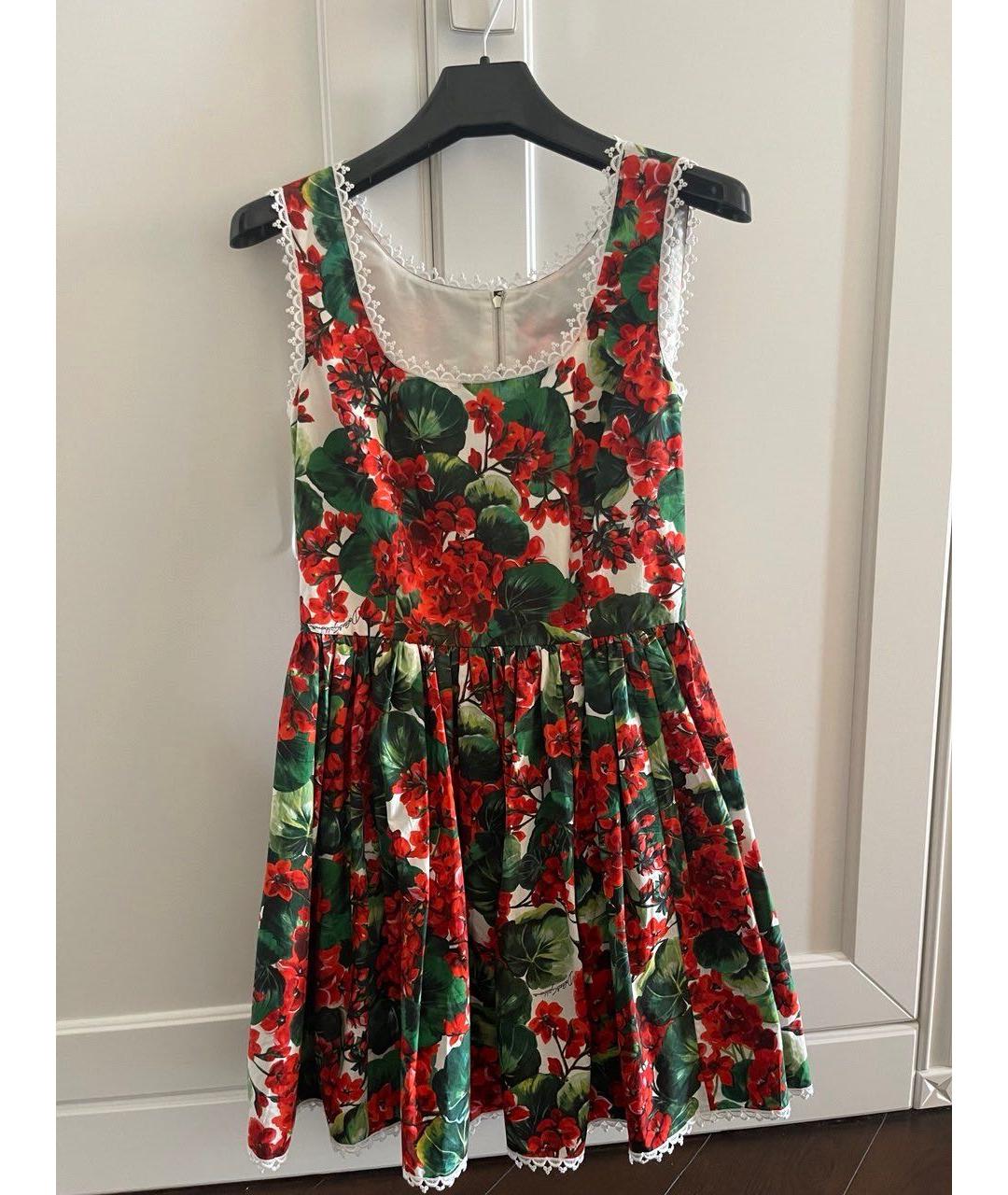 DOLCE&GABBANA Красное хлопковое повседневное платье, фото 5
