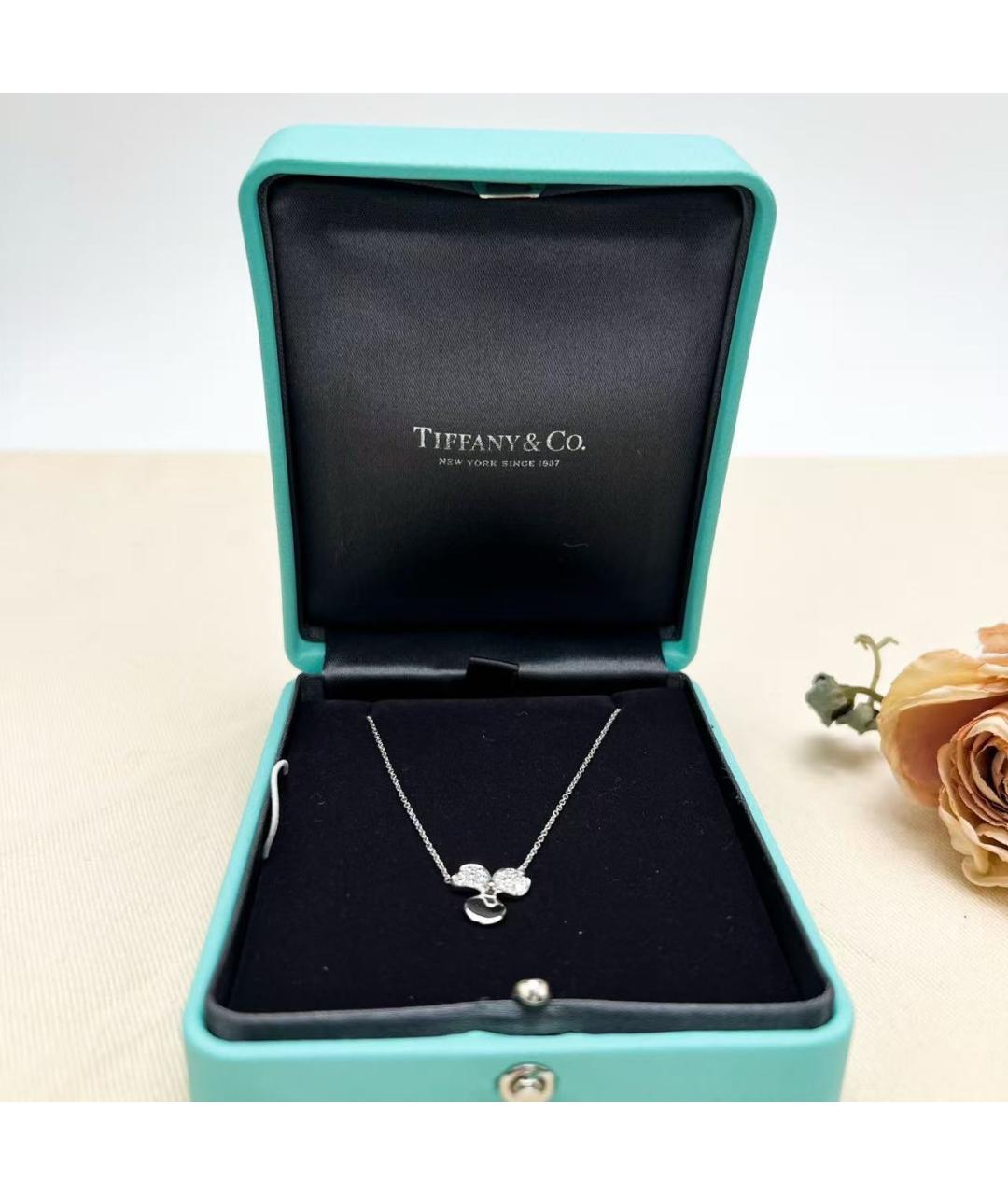TIFFANY&CO Серебряное колье, фото 4
