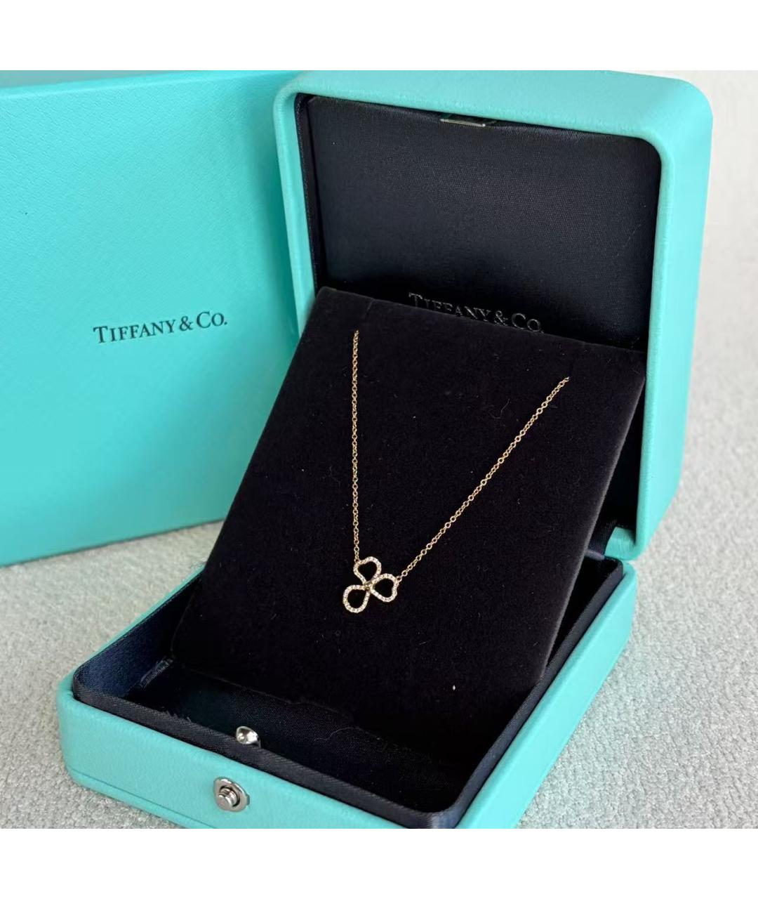 TIFFANY&CO Колье, фото 2