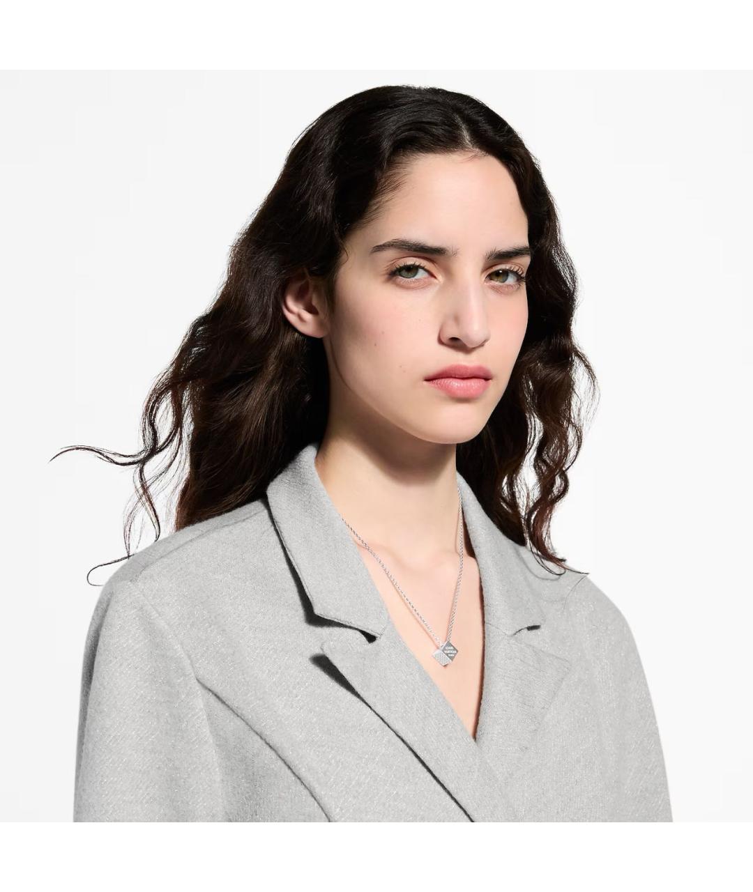 LOUIS VUITTON Серебряное колье, фото 2