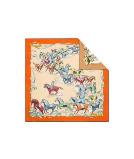 HERMES Шарф