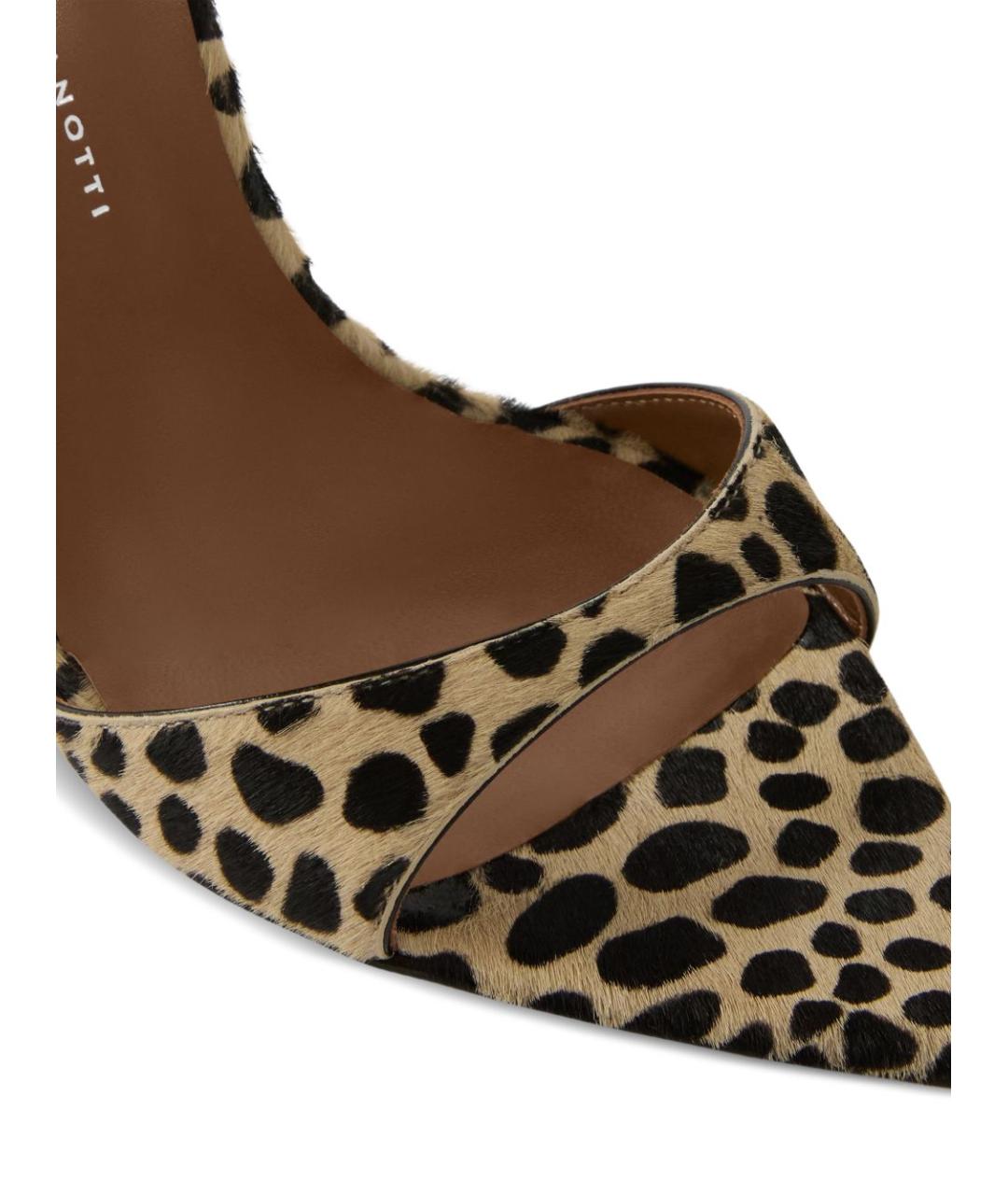 GIUSEPPE ZANOTTI DESIGN Мульти туфли, фото 5