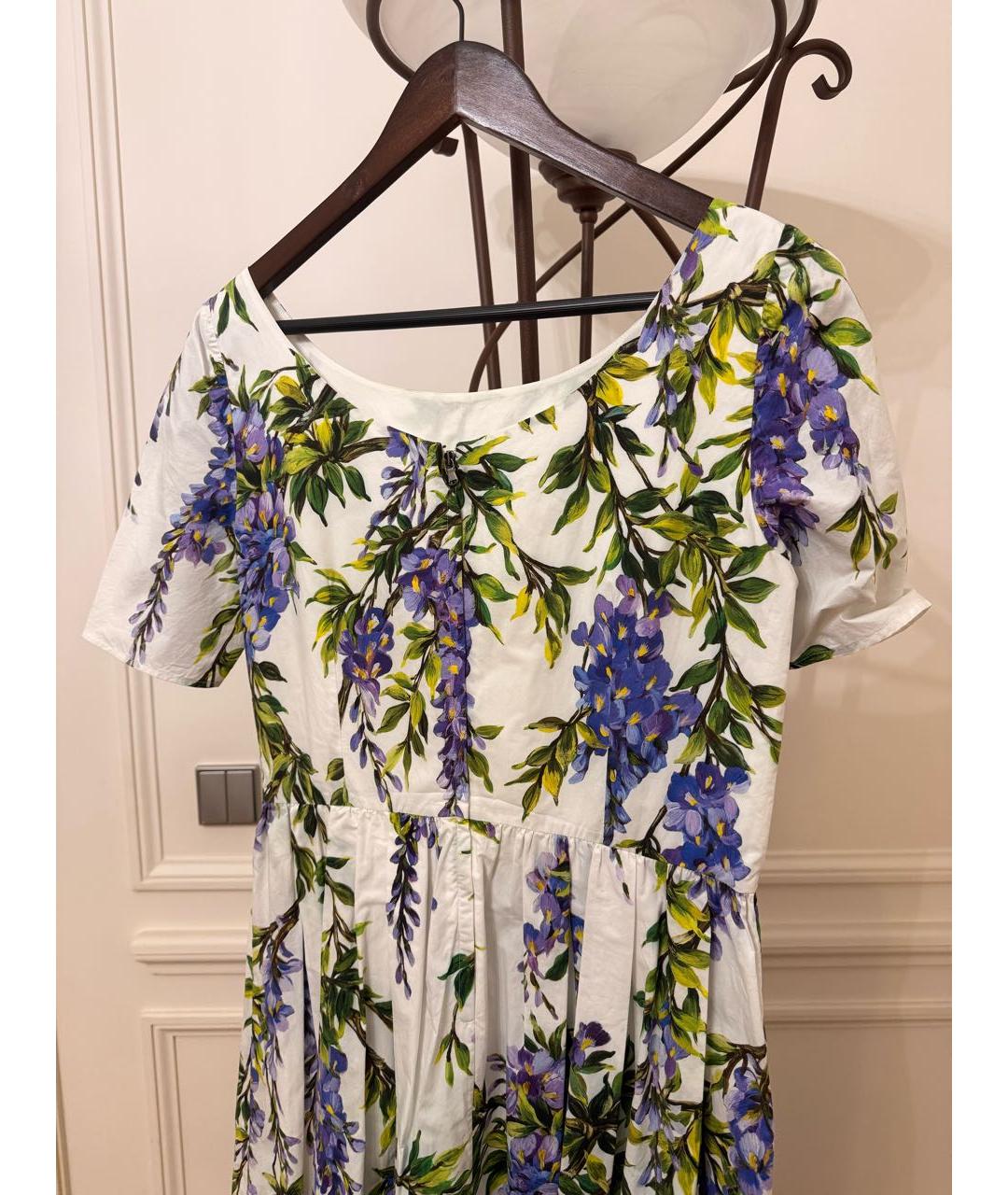 DOLCE&GABBANA Мульти хлопковое повседневное платье, фото 2